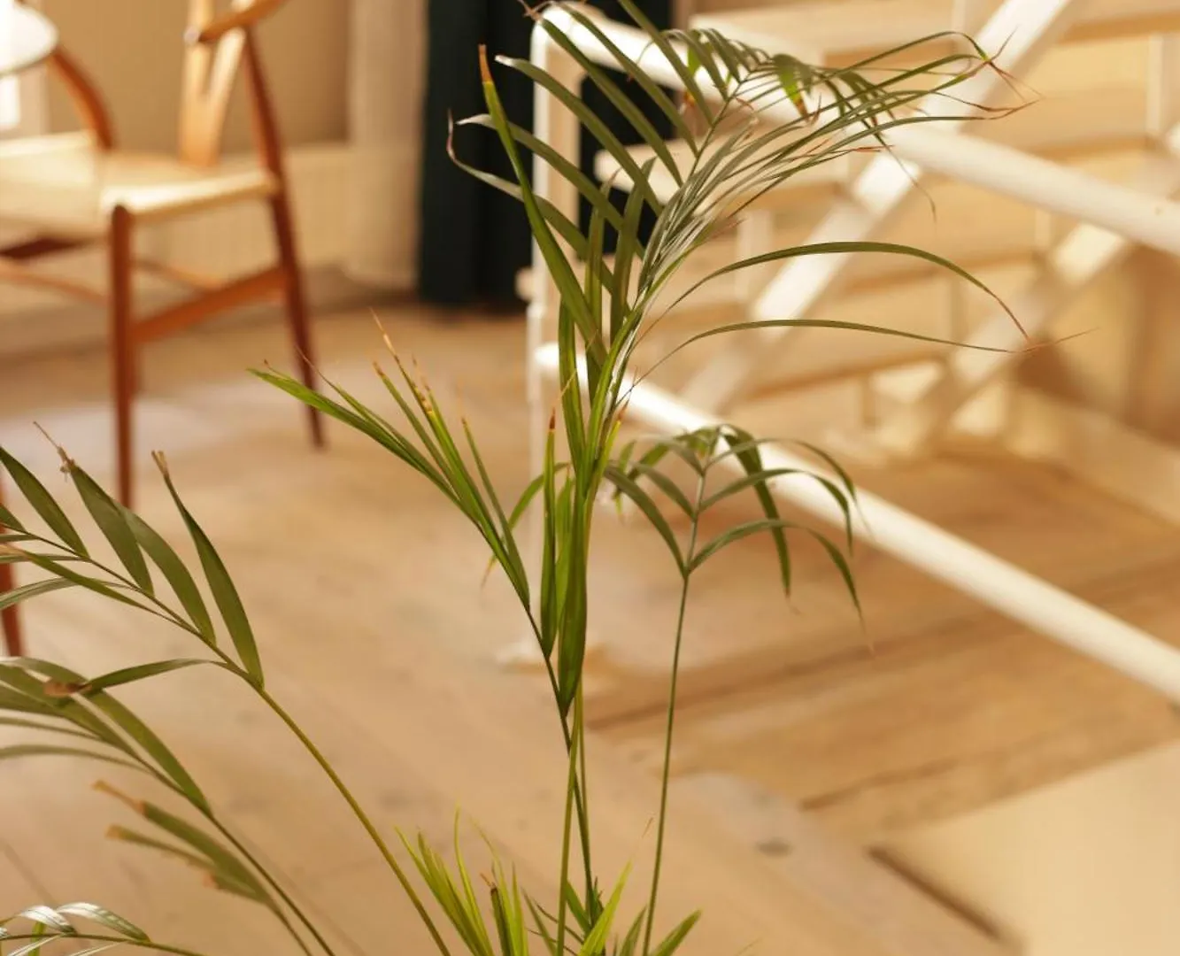 شقة The Luxurious Townhouse Of كوبنهاجن